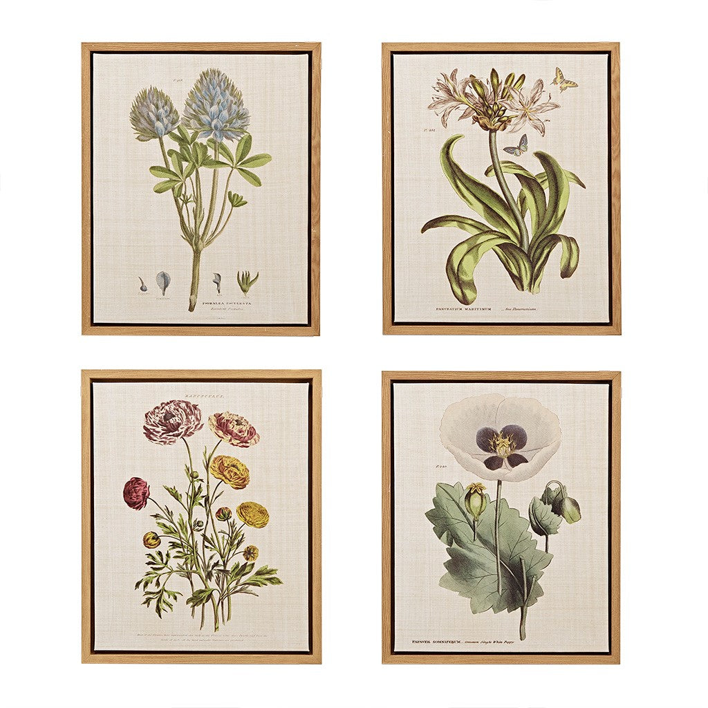 Herbal Botany Framed Linen Canvas 4 Piece Set
