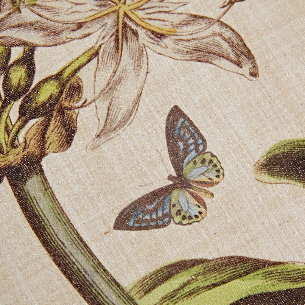 Herbal Botany Framed Linen Canvas 4 Piece Set